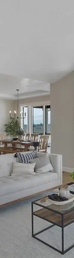 15ccf3_a8775c30b95644acb8354c925a4012a0~mv2